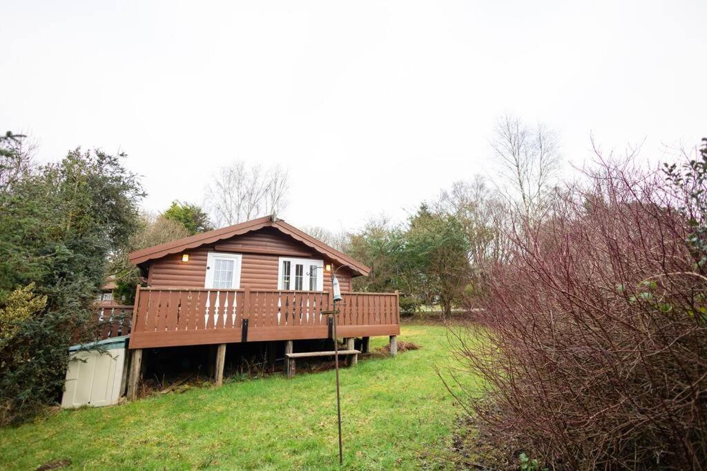 Cozy Norwegian Style Log Cabin In Rural Snowdonia - 2 Bedrooms & Parking By Seren Short Stays Ffestiniog エクステリア 写真